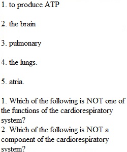 Chapter 3 Quiz